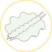 /images of/Sky Fish/from/Uchurei/uploads/chars/5688-315789492.gif